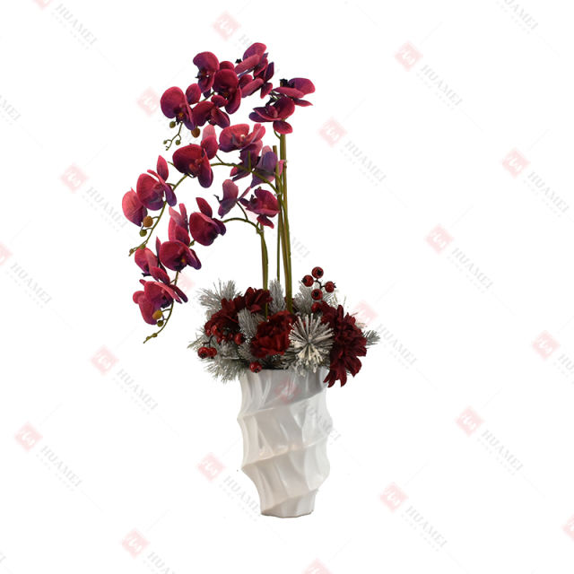 24pcs orchid  with white ceramic pot Christmas