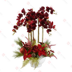 70pcs PEVA orchid  with white ceramic pot Christmas