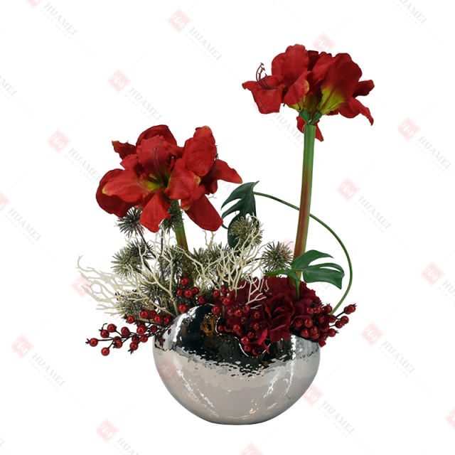 Clivia and Hydrangea with silver ceramic Pot Christmas