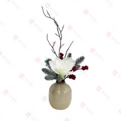 1 Clivia seed ceramic pot