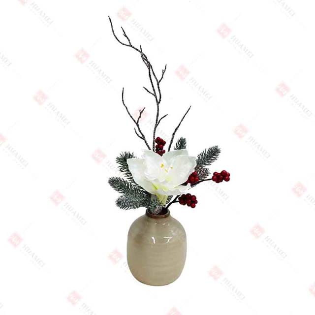 1 Clivia seed ceramic pot