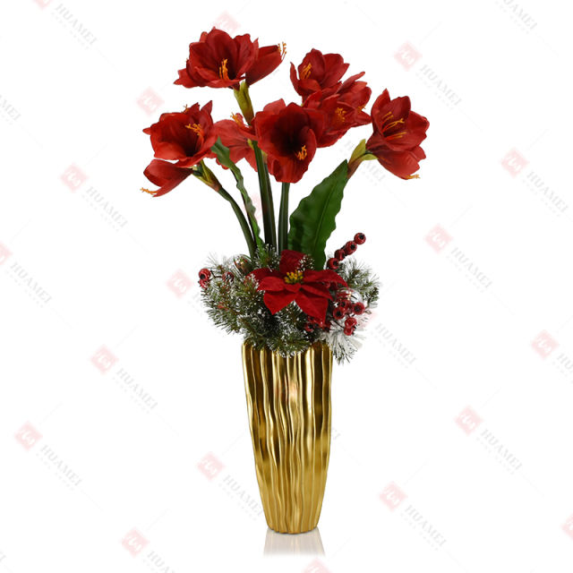 12pcs Clivia with gold ceramic pot Christmas