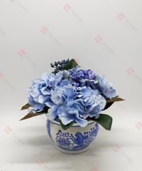 Spring Flowers