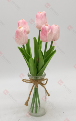 Spring Flowers