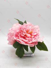 Spring Flowers