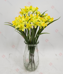 Spring Flowers