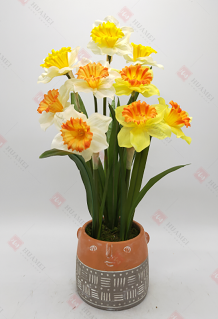 Spring Flowers