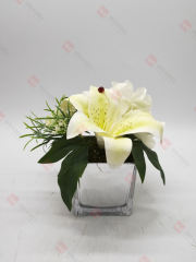 Spring Flowers