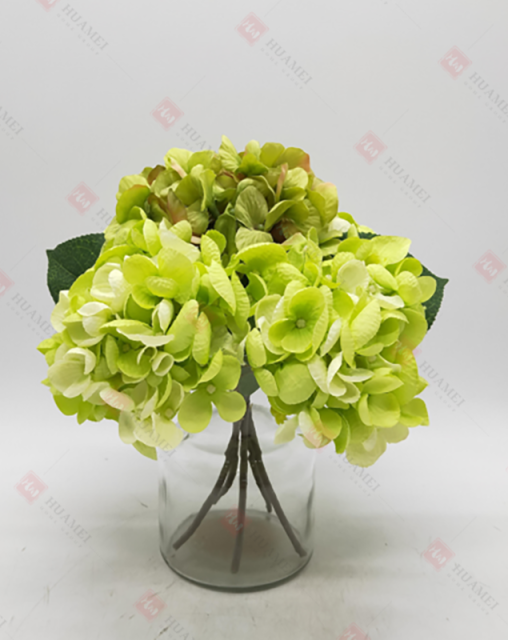 Spring Flowers