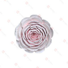 RESIN RANUNCULUS FLOWER WALL DECO