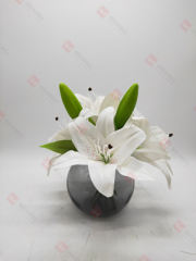 Spring Flowers