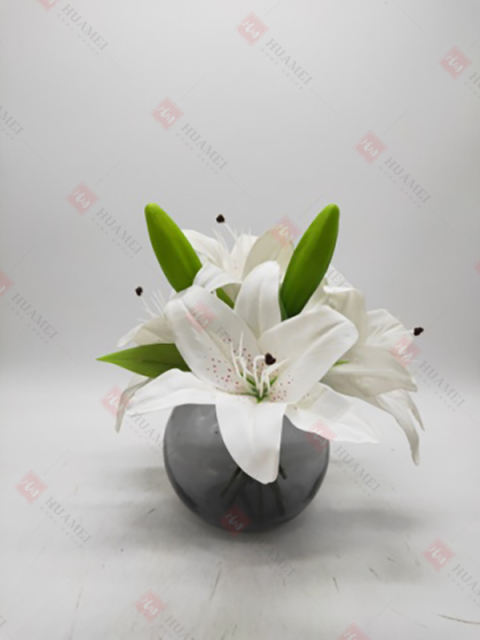 Spring Flowers