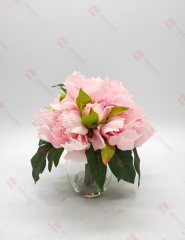 Spring Flowers