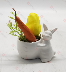 Spring Flowers