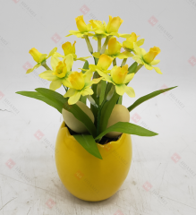 Spring Flowers
