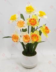 Spring Flowers