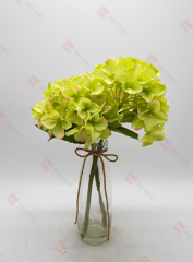 Spring Flowers
