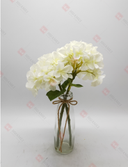 Spring Flowers