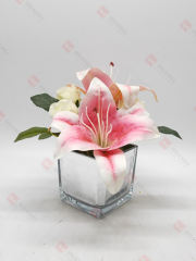 Spring Flowers