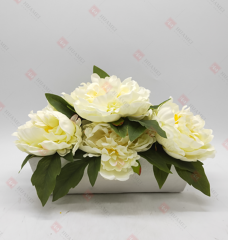 Spring Flowers