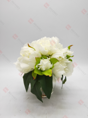 Spring Flowers