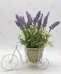 Spring Flowers