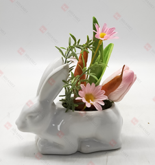 Spring Flowers
