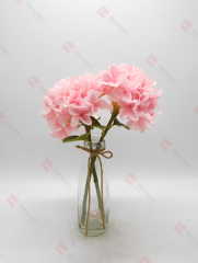 Spring Flowers