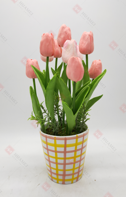 Spring Flowers