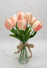 Spring Flowers