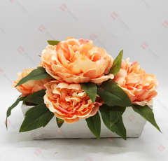 Spring Flowers