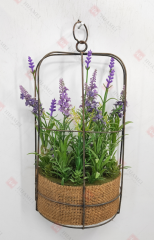 Spring Flowers