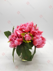 Spring Flowers