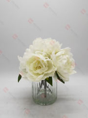 Spring Flowers