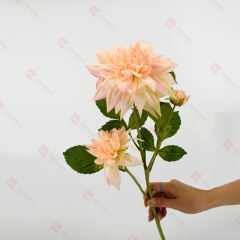 230008-5
