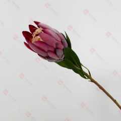 230050-4