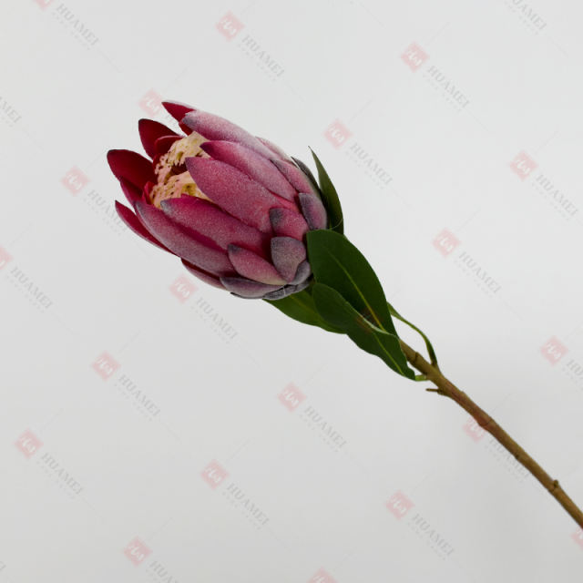 230050-4