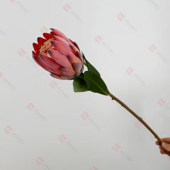 230050-3