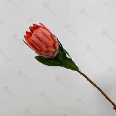230050-1