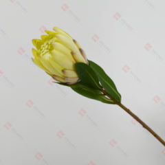 230050-5