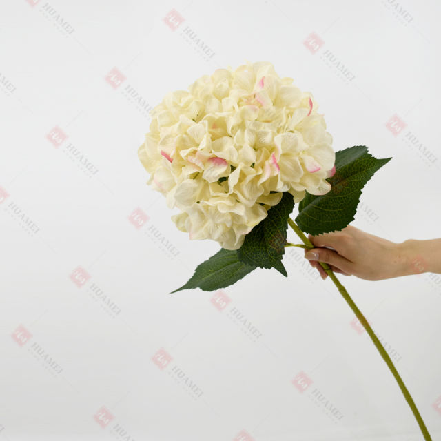 230056