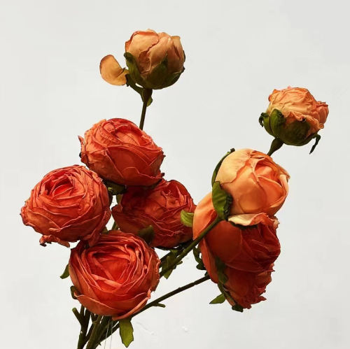 Single Flower AAO0545