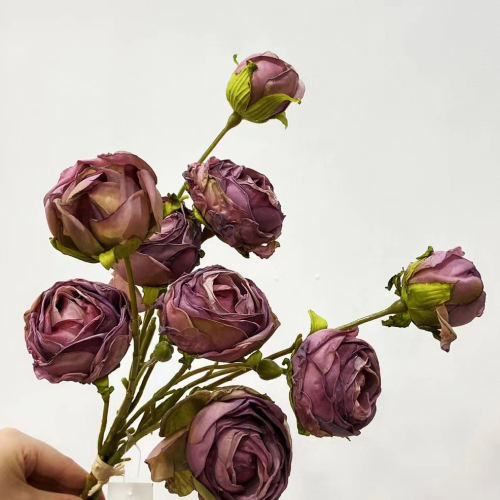 Single Flower AAO0543