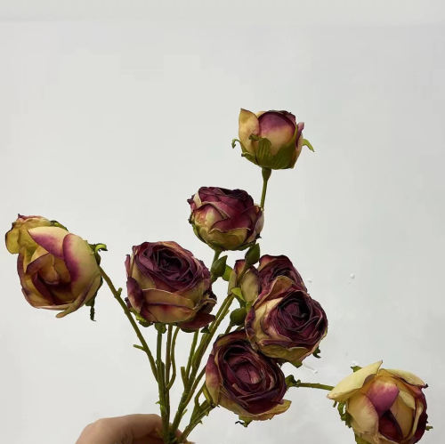 Single Flower AAO0544
