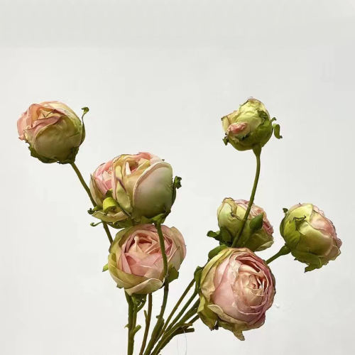 Single Flower AAO0546