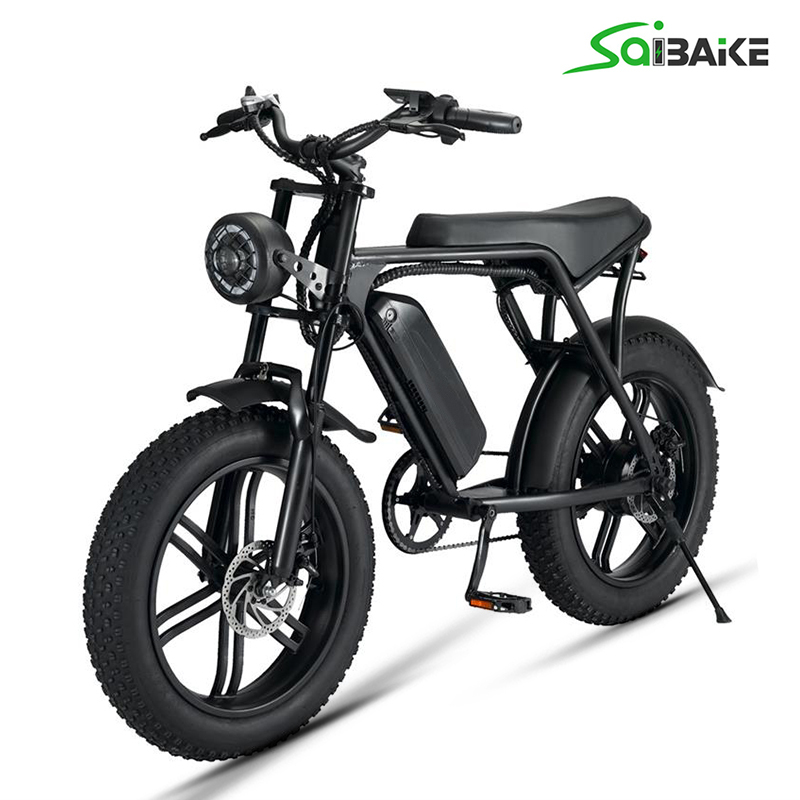 FXH-V8 20*4.0 Inch 48V 750W 1000W Fat Tires Electric Bike 7 Speed Rear Hub Motor F/R disc brake E-bike For Men