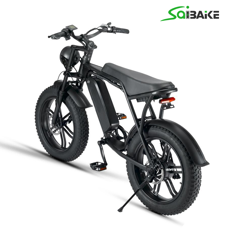 Saibaike FXH-V8 20" Fat Tires Electric Bike 48V 750W 1000W 7 Speed Rear Hub Motor E-bike