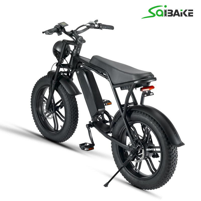 Saibaike FXH-V8 20" Fat Tires Electric Bike 48V 750W 1000W 7 Speed Rear Hub Motor E-bike