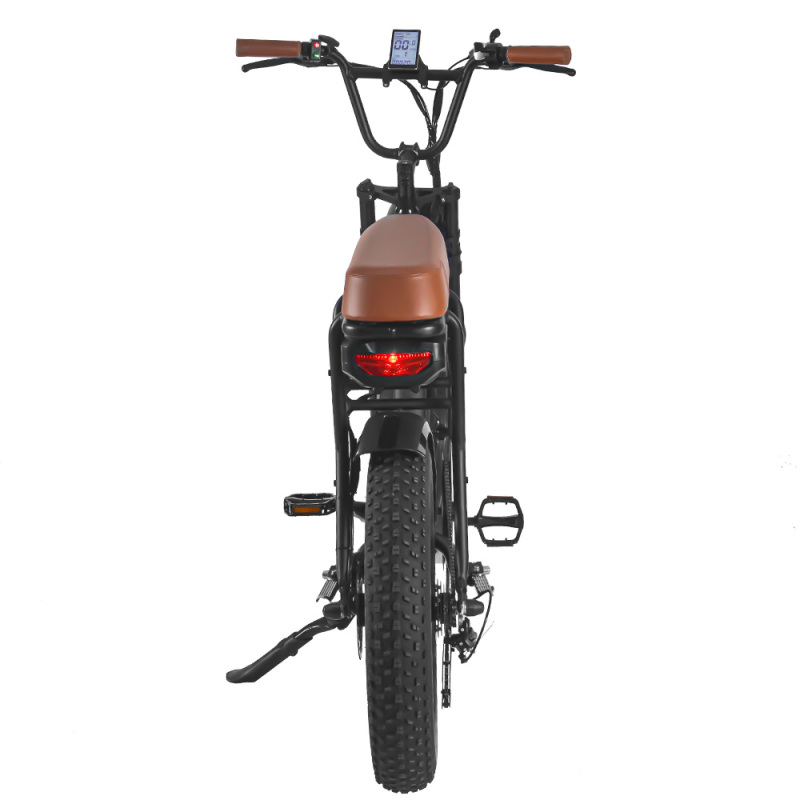 Saibaike FXH-006 Fat Tires Electric Bicycle Mountain Off-road Snow Beach E-bike Brown Saddle 48V 500W 750W 1000W Motor Super Power