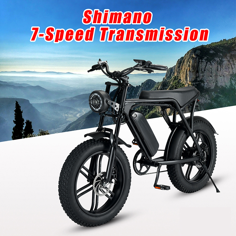 Saibaike FXH-V8 20" Fat Tires Electric Bike 48V 750W 1000W 7 Speed Rear Hub Motor E-bike